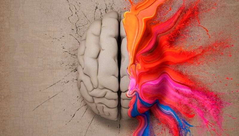 Cerveau avec éclats de couleur
