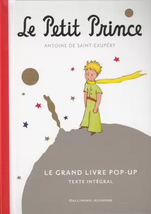 lepetitprince incluZive HPI